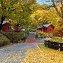 덕산온천타워호텔 | 12월 19일까지 수험생 포함 최대 4인까지 50% 할인, 호반호텔앤리조트, 스플라스 워터파크, 주변 볼거리