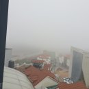 구인당약국 이미지