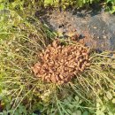 D무인텔 이미지