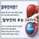 신진농산 - 여수시 | 알부민의 효능 10가지