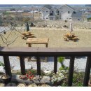 품안에 서해바다 이미지