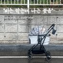 라이더핏츠 개모차 레인커버 후기｜좋은데 이건 몰랐다