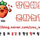 샌드32 이미지