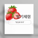 청암태권도 이미지