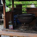 황금가든 이미지