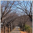 해파랑길 31코스 이미지