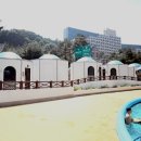 캐니언스넥