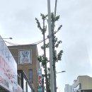 광산-첨단-광산-60 이미지