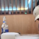 노걸대감자탕 송탄점 이미지