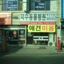 덕수동물병원 이미지