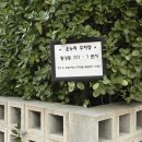 더휴식오브젝트아늑구미지점 네이버블로그