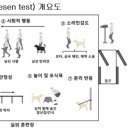 강아지 마음 티스토리