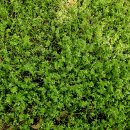 보훈농장 이미지