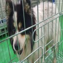 봉방천변길 이미지