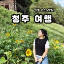 산수1구마을회관 | &#39;청주여행&#39; 청주여행코스 완벽코스정리 청남대 메밀밭 초정행궁