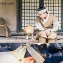 동물사랑연합회 이미지