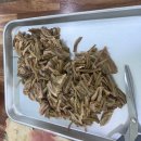 개성할매전통육개장 | [철원맛집]얼큰하고 감칠 맛나는 버섯 가득 버섯육개장… 개성할매전통육개장 집