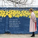 꽃가시나