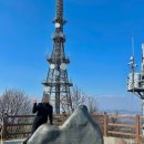 착한막회 | 인천 주안 방어 맛집 착한 막회 내돈내산 후기