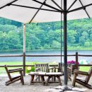 행정심판구제전문행정사 이미지