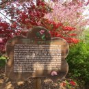 완산공원(정상) 이미지