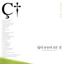 에스이와이 이미지