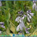 방학사거리 이미지