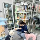 투플러피 이미지