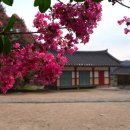 한온장군충신정문 | 〔논산시〕 충곡서원지(忠谷書院址)