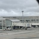 오박사네식당 | 오키나와 렌트카 4박 5일 비용 오박사 후기 한국인 사장님 소통