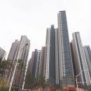 안산해솔초등학교 이미지