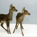 실로암의집요양원 이미지