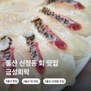 회락 - 성남시 분당구 구미로9번길 25 | 울산 신정동 회맛집 금성회락 남구 횟집 점심 모임장소 가성비 술집