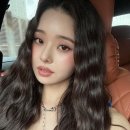 프리지아 이미지