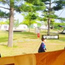 금은모래 캠핑장 이미지