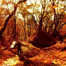 송파나루공원(석촌호수) 이미지