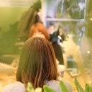 목화가든 이미지