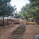 해파랑길 21코스 영덕 블루로드 B코스 해맞이공원에서 축산항 까지 완료 총거리 14,5KM 소요시간 4시간50분 이미지