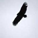 우곡식당 이미지