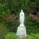 강동로-49 이미지