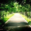 (주)경주산림환경 이미지