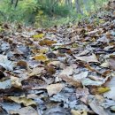 너릿재옛길정상 공중화장실 이미지