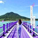 (좌석배정표) 5월24일 신안퍼플섬 라벤더축제&amp;장흥하늘빛수목원 좌석배정표 이미지