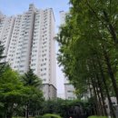 신월동246 이미지