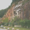 낙동강장어 이미지