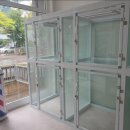 애견미용실 이미지