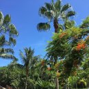 블라우(Blau) 이미지