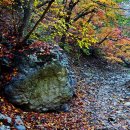 소리길121 이미지