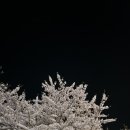 싹쓰리 아이스크림할인점 이미지