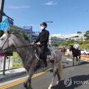 무명축산